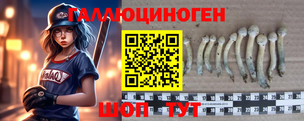 Знаменск  Галлюциногенные грибы Cubensis  Вход с VPN  Галлюциногенные грибы MAGIC MUSHROOMS 